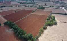 For sale, land, Famagusta, Avgorou, 14,137m&sup2;, &euro;75,000 