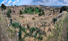 For sale, land, Limassol, Erimi, 27,420m&sup2;, &euro;91,000 , Limassol