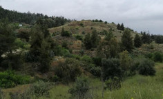 For sale, land, Nicosia, Kapedes, 7,358m&sup2;, &euro;48,000 , Nicosia