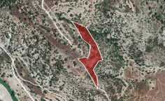 For sale, land, Paphos, Letymvou, 9,700m&sup2;, &euro;3,000 