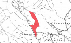 For sale, land, Paphos, Letymvou, 9,700m&sup2;, &euro;3,000 
