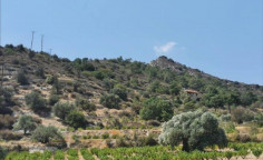 For sale, land, Limassol, Agios Mamas, 3,679m&sup2;, &euro;40,000 , Limassol