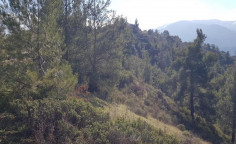 For sale, land, Nicosia, Kakopetria, 3,679m&sup2;, &euro;11,000 