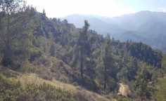 For sale, land, Nicosia, Kakopetria, 3,679m&sup2;, &euro;11,000 