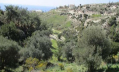 For sale, land, Paphos, Pegeia, 3,345m&sup2;, &euro;20,000 