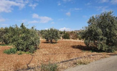 For sale, land, Nicosia, Agios Ioannis, 2,193m&sup2;, &euro;55,000 , Nicosia