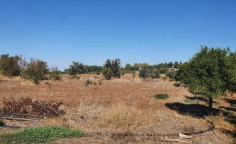 For sale, land, Nicosia, Agios Ioannis, 2,193m&sup2;, &euro;55,000 , Nicosia