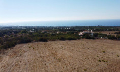 House (detached) in Tala, Paphos for sale 