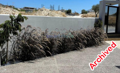 4 bedroom detached villa + maids room for rent Limassol 