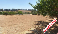 Luxury villa on a big plot of land in Mandria 