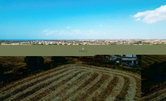Land in Ormideia, Larnaca , Larnaca