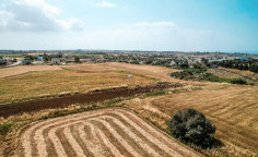 Land in Ormideia, Larnaca , Larnaca