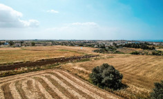 Land in Ormideia, Larnaca , Larnaca