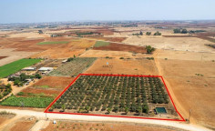 Land 9384 m2 for sale in Avgorou, Famagusta