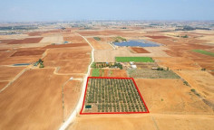Land 9384 m2 for sale in Avgorou, Famagusta