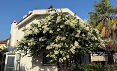 Spacious 3 bedrooms house to rent in Pernera