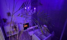 Spacious 2 bedroom furnished apartment to rent in Kapsalos