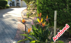 3 bedroom house to rent in Kapedes