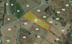Beautiful agricultural for sale in Parekklisia