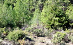 Residential for sale in Moniatis, Limassol