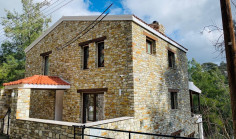 luxury Stone House