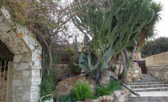 4 bedroom bungalow on a huge plot with gardens and swimming pool in Moni 