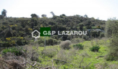 Residential 37459 m2 for sale in Neo Chorio, Paphos