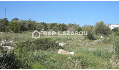 Touristic land for sale in Neo Chorio, Paphos , Paphos