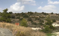 (agricultural) in Anglisides, Larnaca for sale , Larnaca