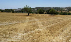 Residential 24722 m2 for sale in Alethriko, Larnaca