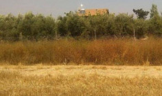 Lovely residential for sale in Mazotos, Larnaca