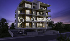 Commercial 239 m2 for sale in Katholiki area