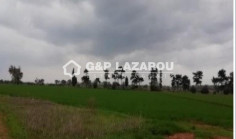 Beautiful land for sale in Liopetri, Famagusta