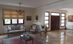 6 bedroom detached villa in Alethriko 