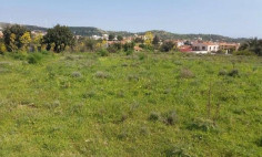 Beautiful residential for sale in Alethriko, Larnaca