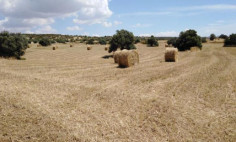 Residential for sale in Lympia, Nicosia