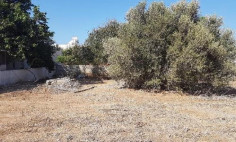 (residential) in Paralimni, Famagusta for sale , Famagusta
