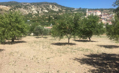 Residential land for sale in Limnatis, Limassol, Limassol
