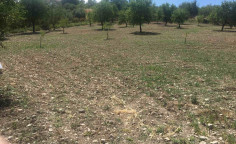 Residential land for sale in Limnatis, Limassol, Limassol
