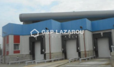 Large warehouse for sale in Nisou