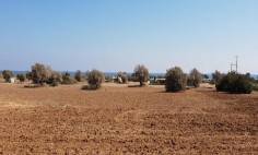 Residential 3879 m2 for sale in Mazotos, Larnaca