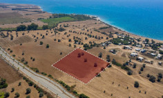 Residential 3879 m2 for sale in Mazotos, Larnaca