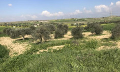 Residential 1979 m2 for sale in Geri, Nicosia