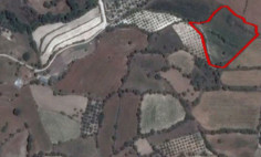 (agricultural) in Lasa, Paphos for sale , Paphos