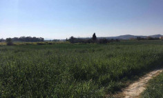 Residential 4516 m2 for sale in Pyla, Larnaca