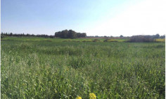 Residential 4516 m2 for sale in Pyla, Larnaca