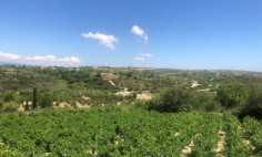 Large residential for sale in Kathikas, Paphos