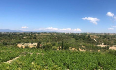Large residential for sale in Kathikas, Paphos