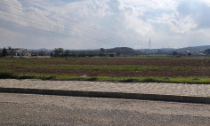 Residential 1030 m2 for sale in Dali, Nicosia