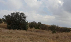 Residential 1886 m2 for sale in Geri, Nicosia